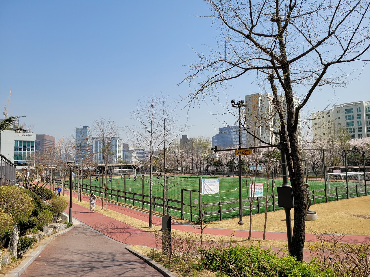 家和地区的