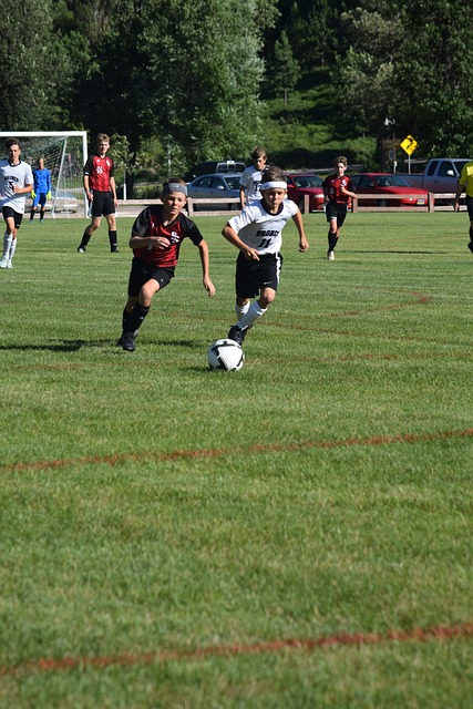 育商業化背 育商業化背