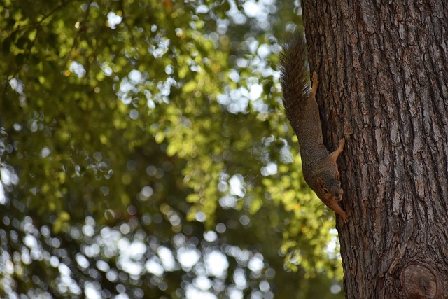 球队中一名 球队中一名