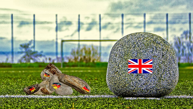 验丰富的球 验丰富的球